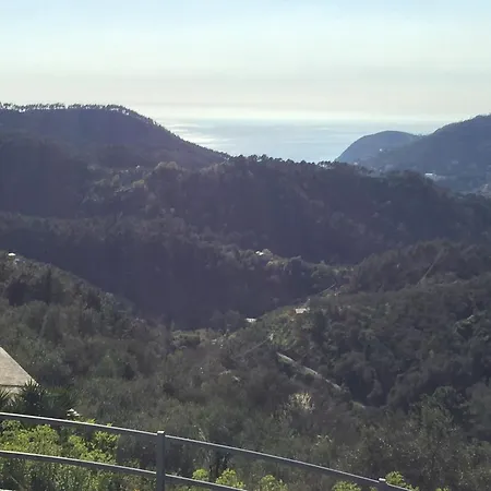 5 Lands Yellow 펜션