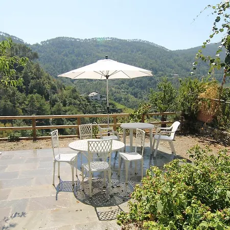 5 Lands Yellow 레반토