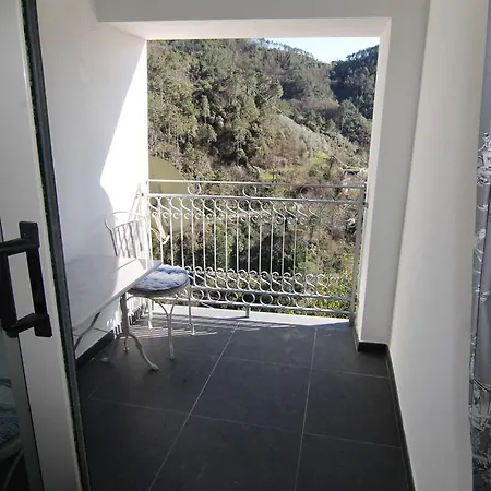 5 Lands Yellow Levanto