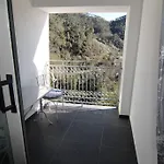 5 Lands Yellow Levanto