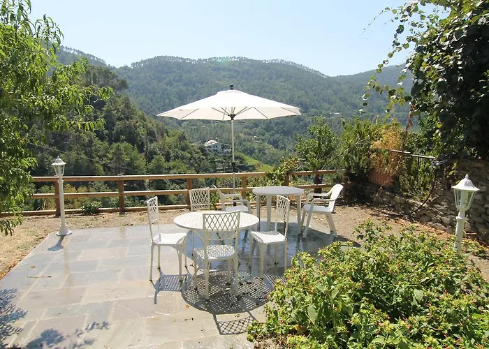 5 Lands Yellow Levanto